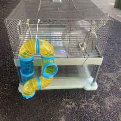 Hamster Cel 