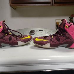 Jordan's Lebran James Series 12