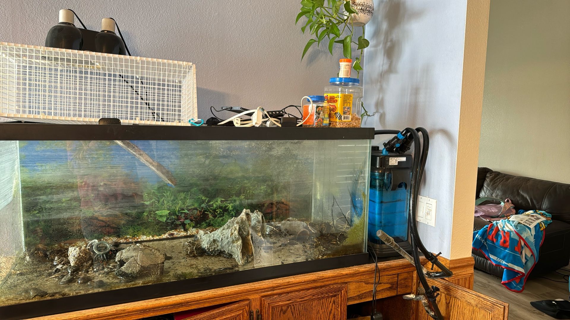 Aquarium with filter, Cage, Lamps