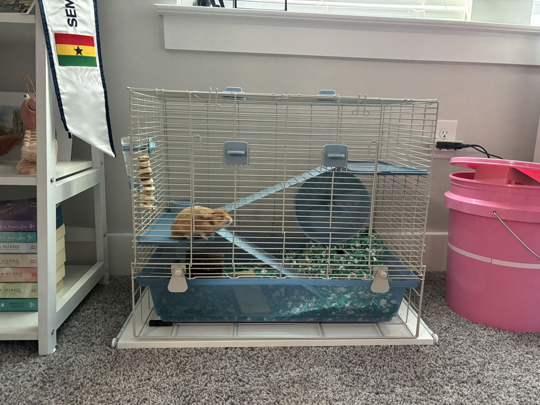 Hamster And Cage FREE