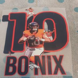 Denver Broncos DTF TRANSFERS 