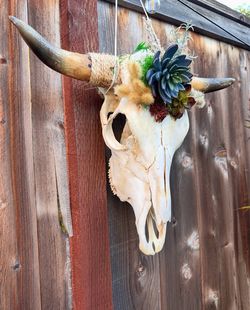 Boho Bull Skull