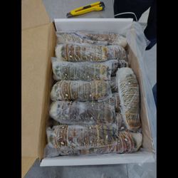 Fresh Frozen Raw Lobster Tails 