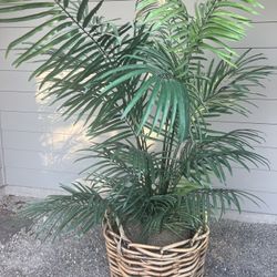5.5’ Artificial Palm Tree With Large Basket