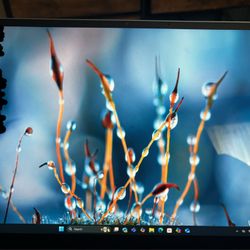 Microsoft Surface Laptop 7th Edition. Snapdragon. X Elite 16GB GO RAM Gt RAM 512GB Sapphire 