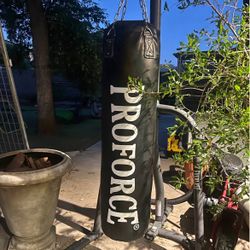 Punching Bag