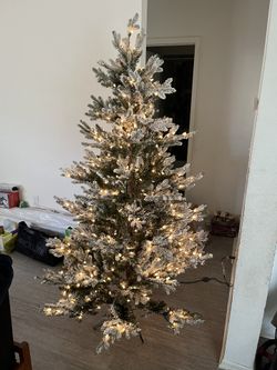 Xmas Tree 7ft