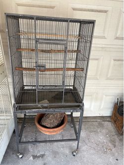 Black bird cage