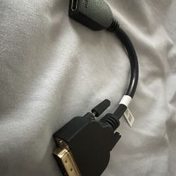 HDMI to DVI Adapter