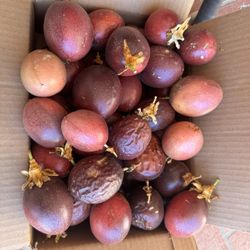 Passion fruit For Sale 