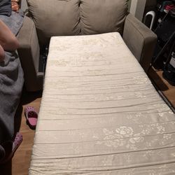 Sofa Cama Twin Tacones  Coach Bolso 