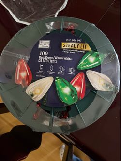 Indoor or outdoor lights
