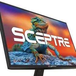 2 Computer Monitors And Desk Mount