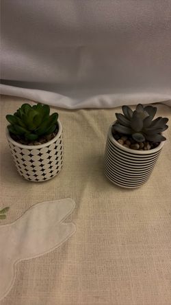 Der Rose 2 Pack Fake Succulents in Striped Ceramic Pots for Shelf Decor