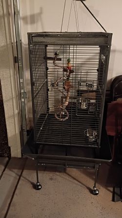 Parrot Cage
