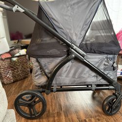 2-1 Stroller wagon