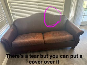 Brown Leather Couches