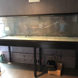 Large Fish Tank With Steel Stand