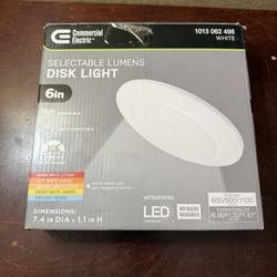 6 Inch Disk Light 