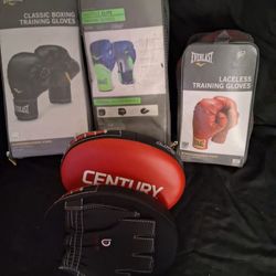 Boxing Training Gloves