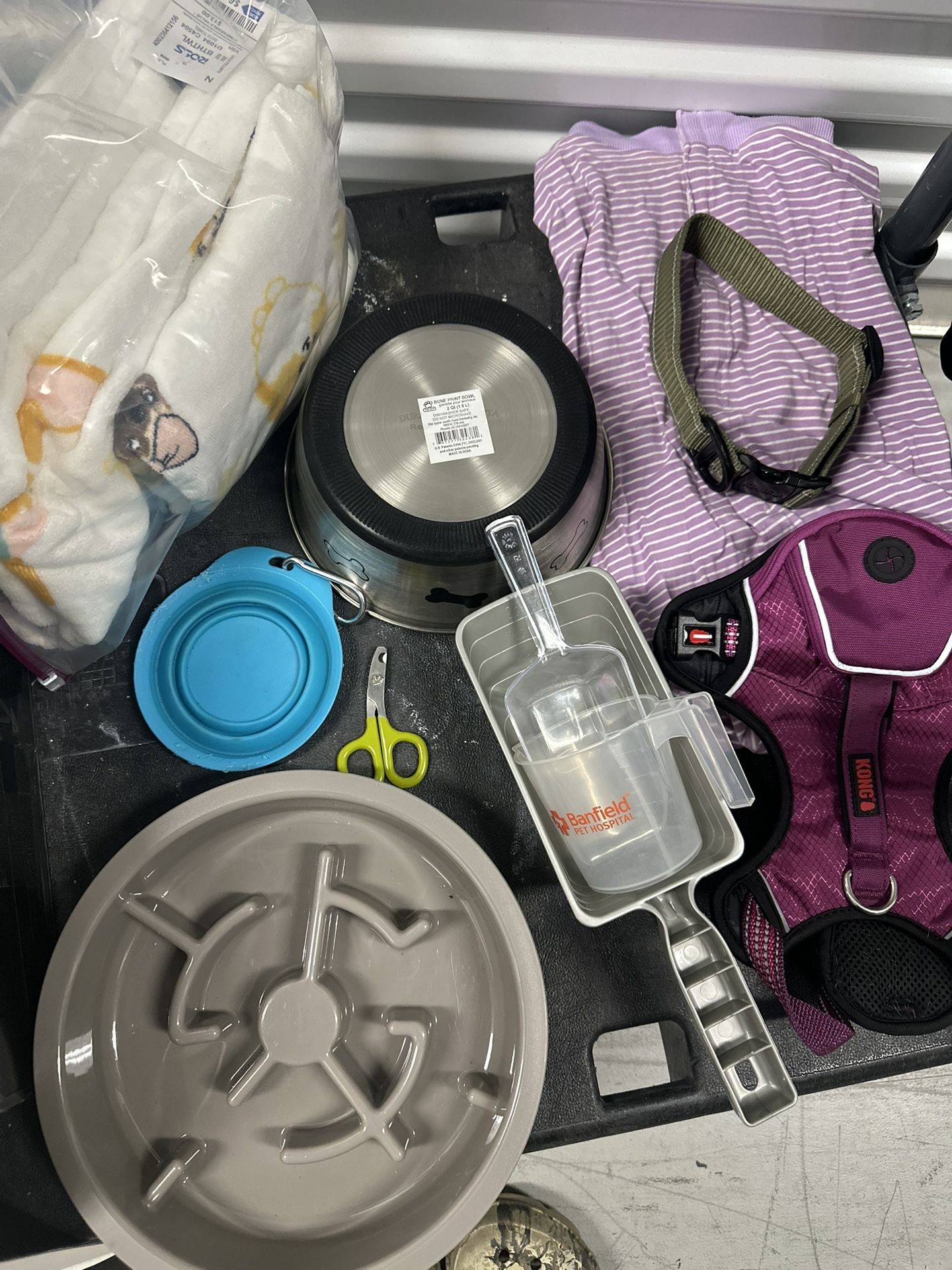 Dog Supplies 