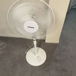 Fan : Pelonis pedestal fan (with remote) : perfect condition: $35