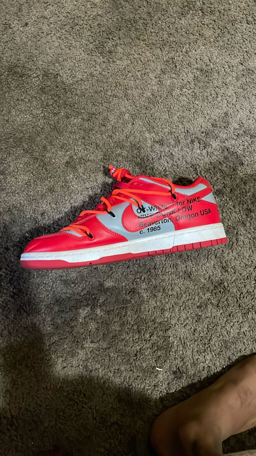 Off White Nike Dunks