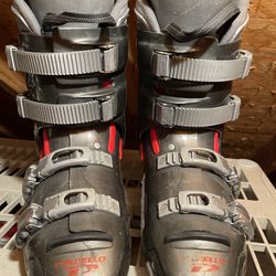 Snow Skiing Boots- Dalbello MX