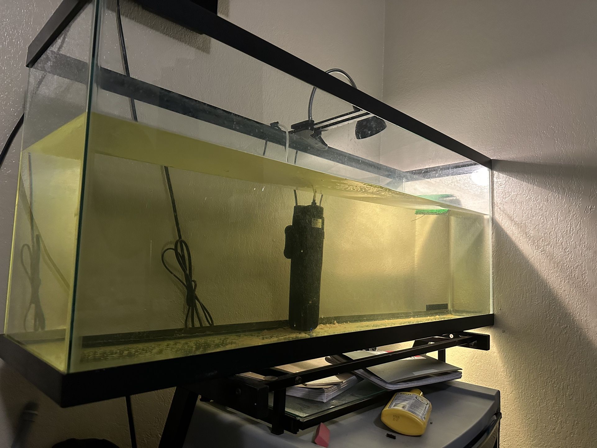 Fish Tank