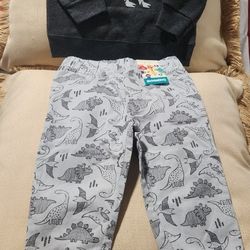 Dinosaur crewneck sweaters and pants