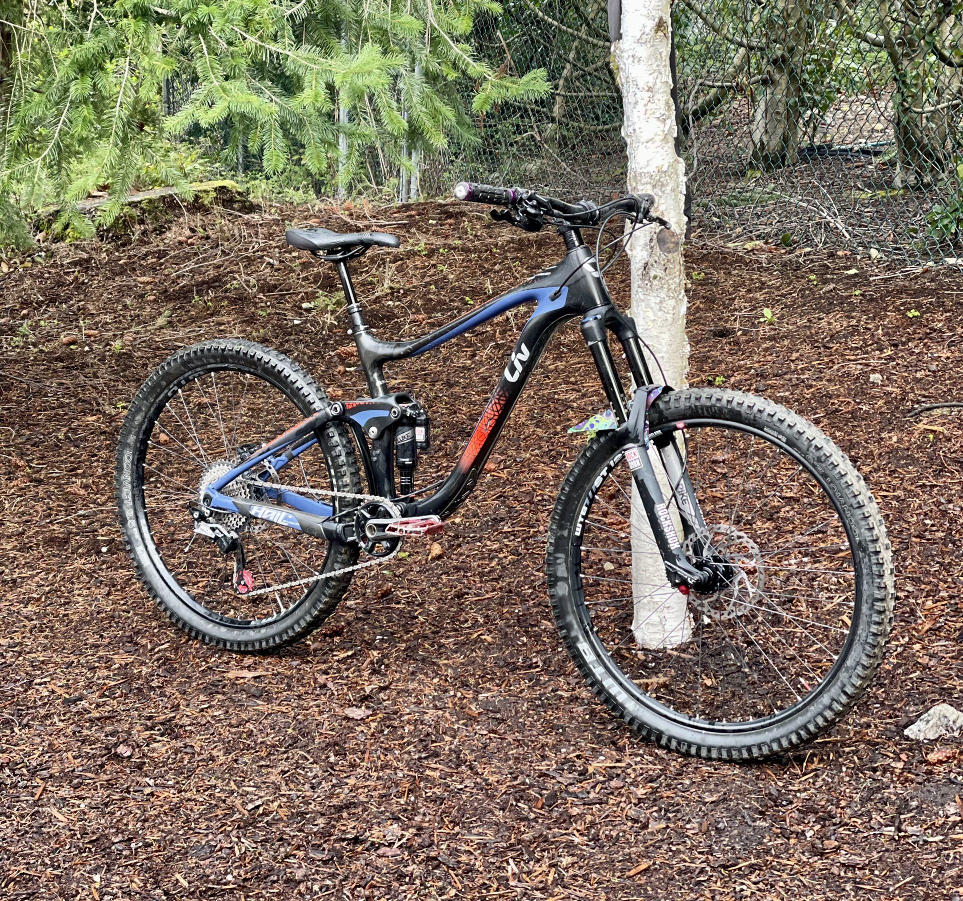 Liv hail mountain discount bike