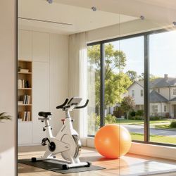 Three 3x6 Ft Gym / Studio Full Length Mirrors 