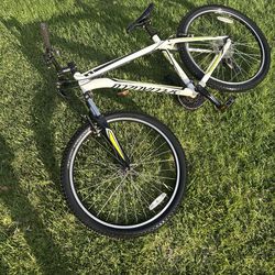 Specialized Mountain Bike