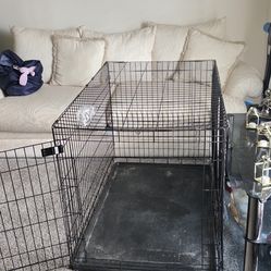 Jaula o rejas para perritos