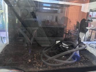 20 tall gallon fish tank