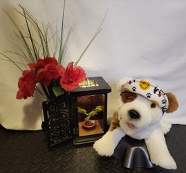 Happy face dog hat size small