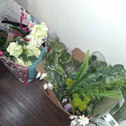 Wood Slices Butterflies Greenery 