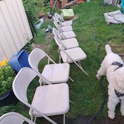 8--Metal Folding Chairs 