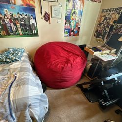 Red Adult Bean Bag