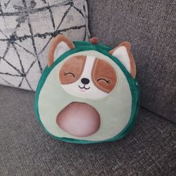 Squishmallow-REGINA CORGI AVOCADO