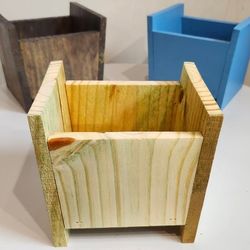 3 Succulent And Vegetable Planters