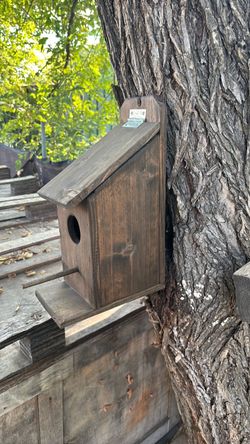 Birdhouse with Entry Hole
