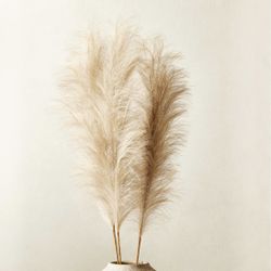 CB2 Pampas Target Vase