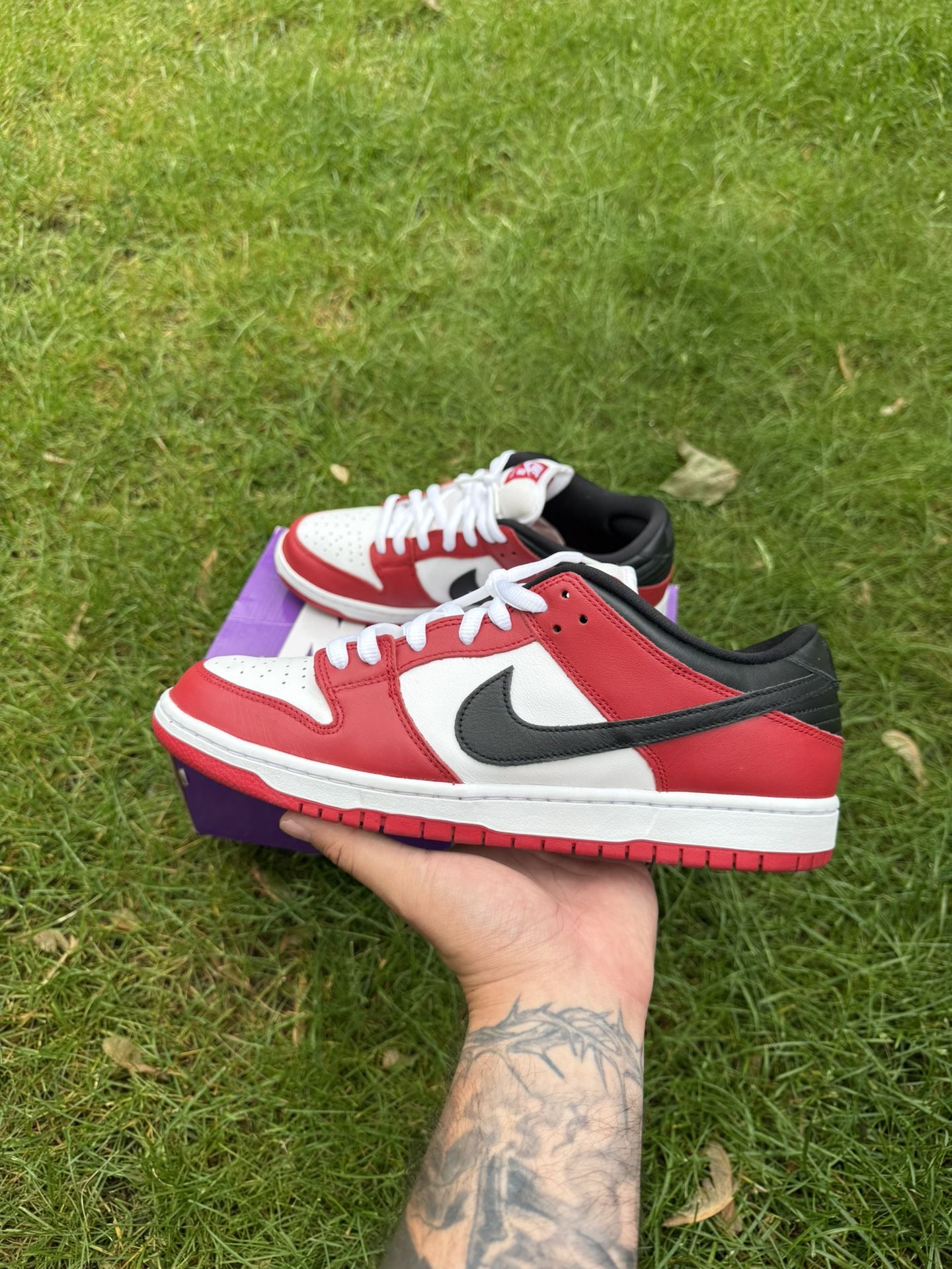 Nike Dunk SB Chicago