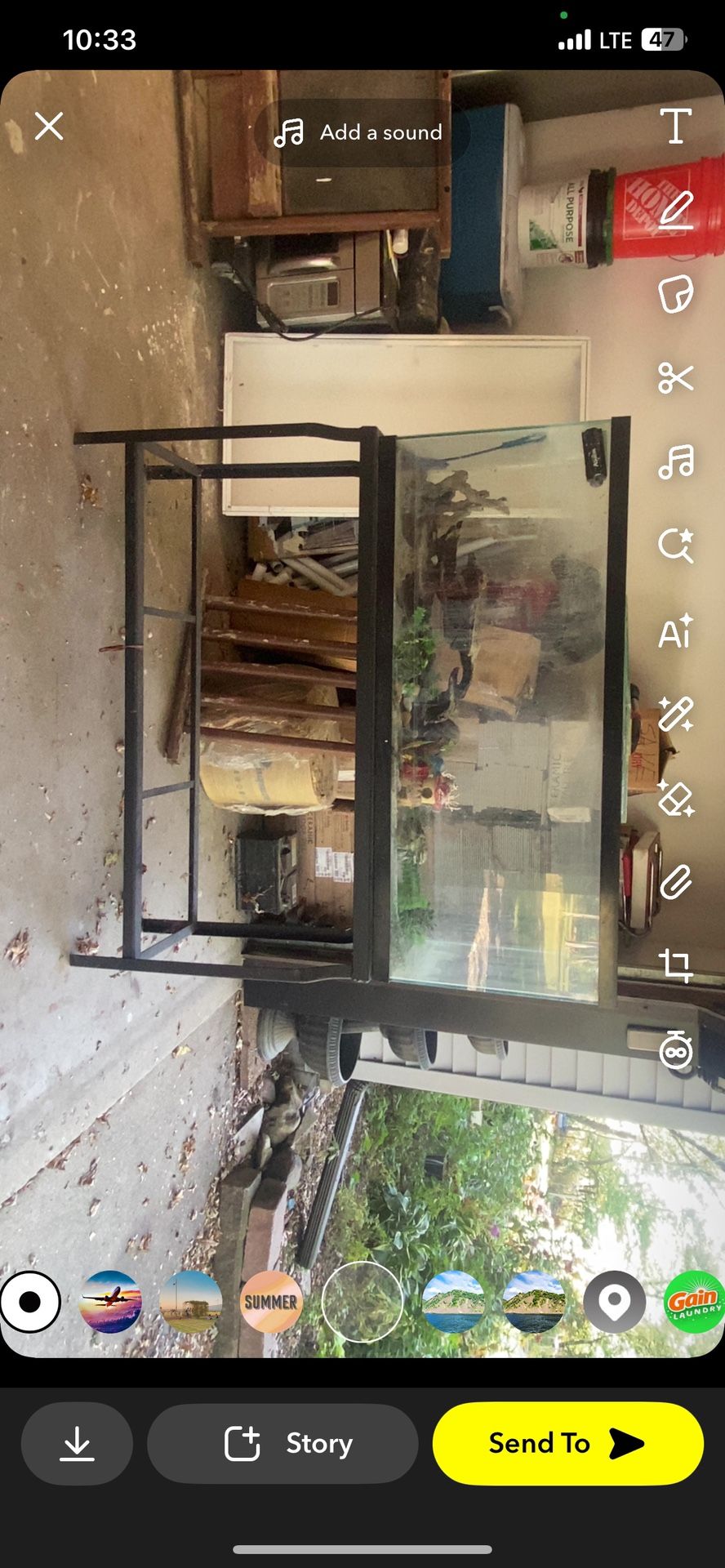 55 Galling Fish Tank 