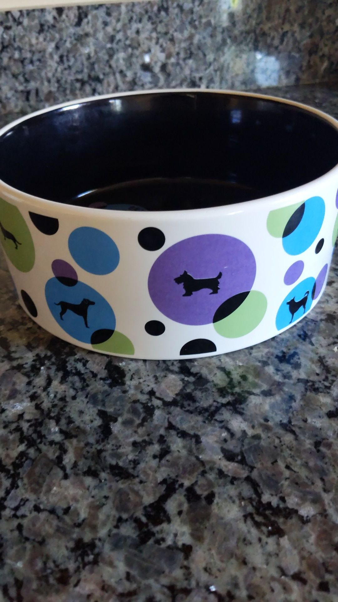Signature Large Polkadot Dog Bowl