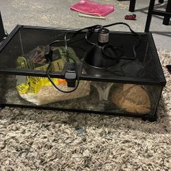Small Cage