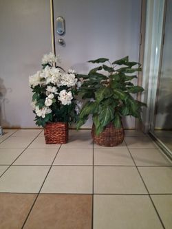 Artificial Plants