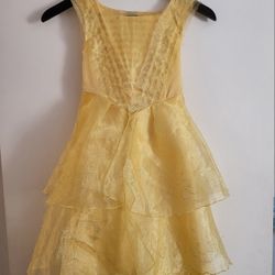 Disney  Belle Costume Dress 