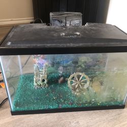 15g Small Aquarium Fish Tank In Good Condition 